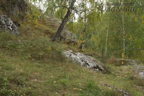 IMG_2635_r